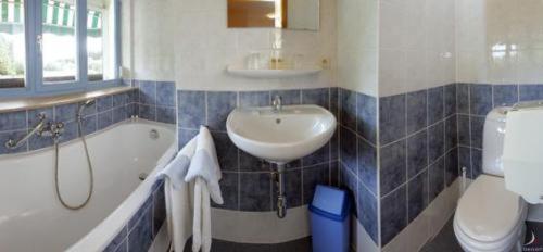Hotel Aux Massotais Petites Tailles Quarto foto
